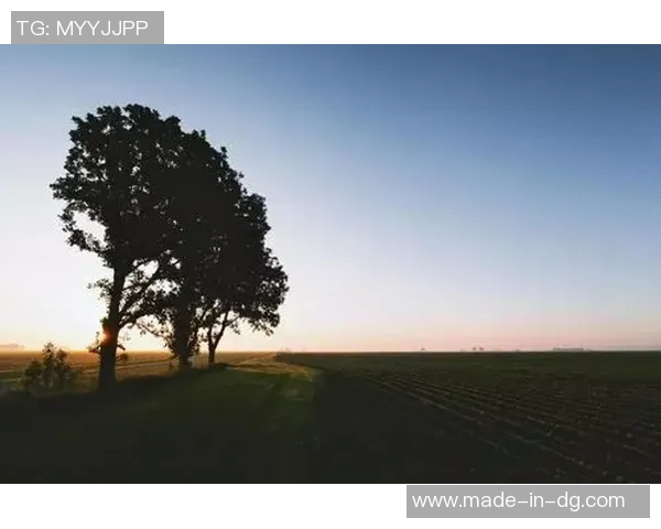 抑郁症与足球明星的心灵斗争与重生之路